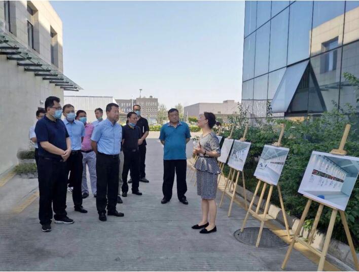 ¼¯ÍÅÏòµ¼¸°Á¢¼´²©ÉÌó¶½µ¼¶½²ìÊÂÇé