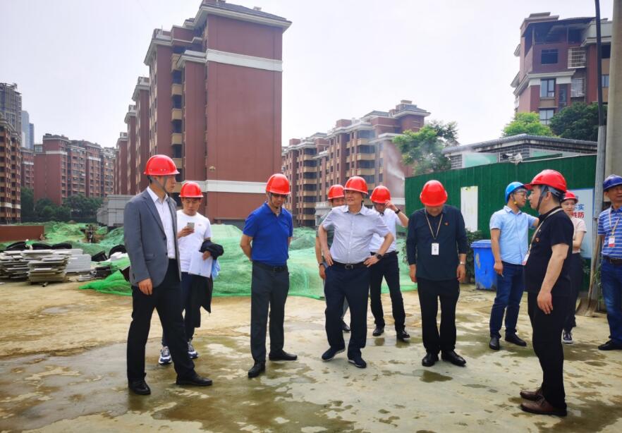 ����������ı��������ר�������� ��չϵ����Ŀ����