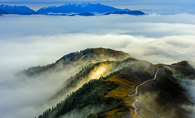 ��æ����(�й���)���޹�˾����