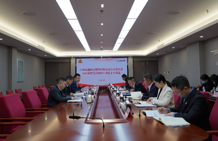 Á¢¼´²©¼¯Íŵ³Î¯Êé¼Ç¡¢¶Ê³¤Èζ¡³öϯåÐÒ£Âùݼ¯ÍÅ2022Äê¶Èµ³Ô±Ïòµ¼¸É²¿ÃñÖ÷ÉúÑÄ»á